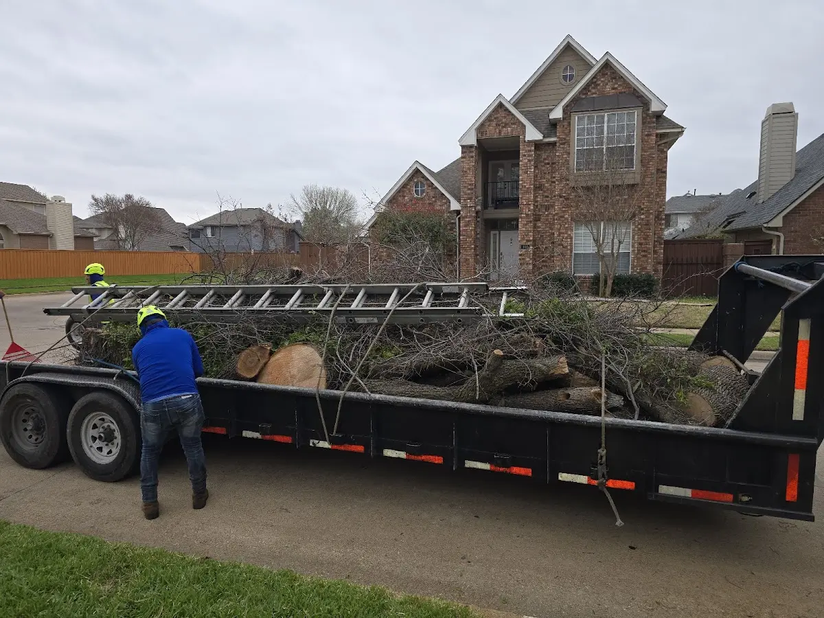 Expert Tree Fertilization with proper safety equipment in Twain Harte